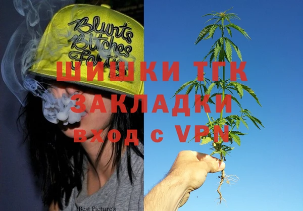 молекула духа Тобольск