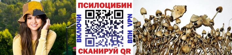 Псилоцибиновые грибы GOLDEN TEACHER  Нижневартовск 